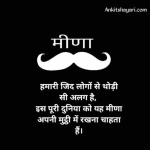 Meena Attitude Shayari